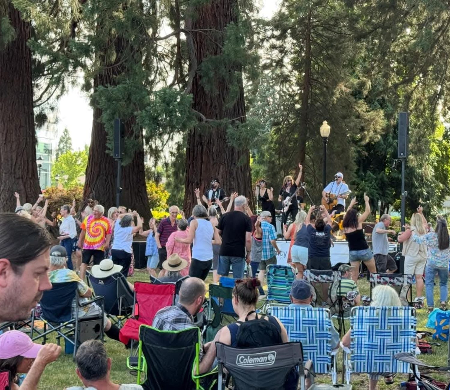 FRP Freight Train Jaine 04