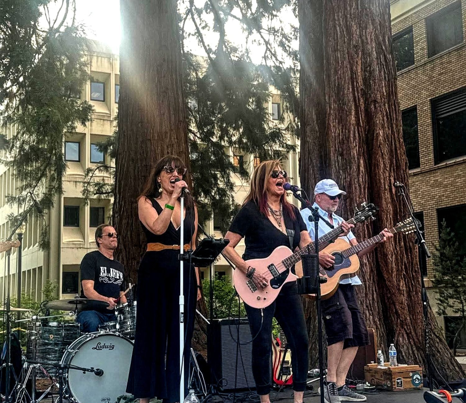 FRP Freight Train Jaine 05