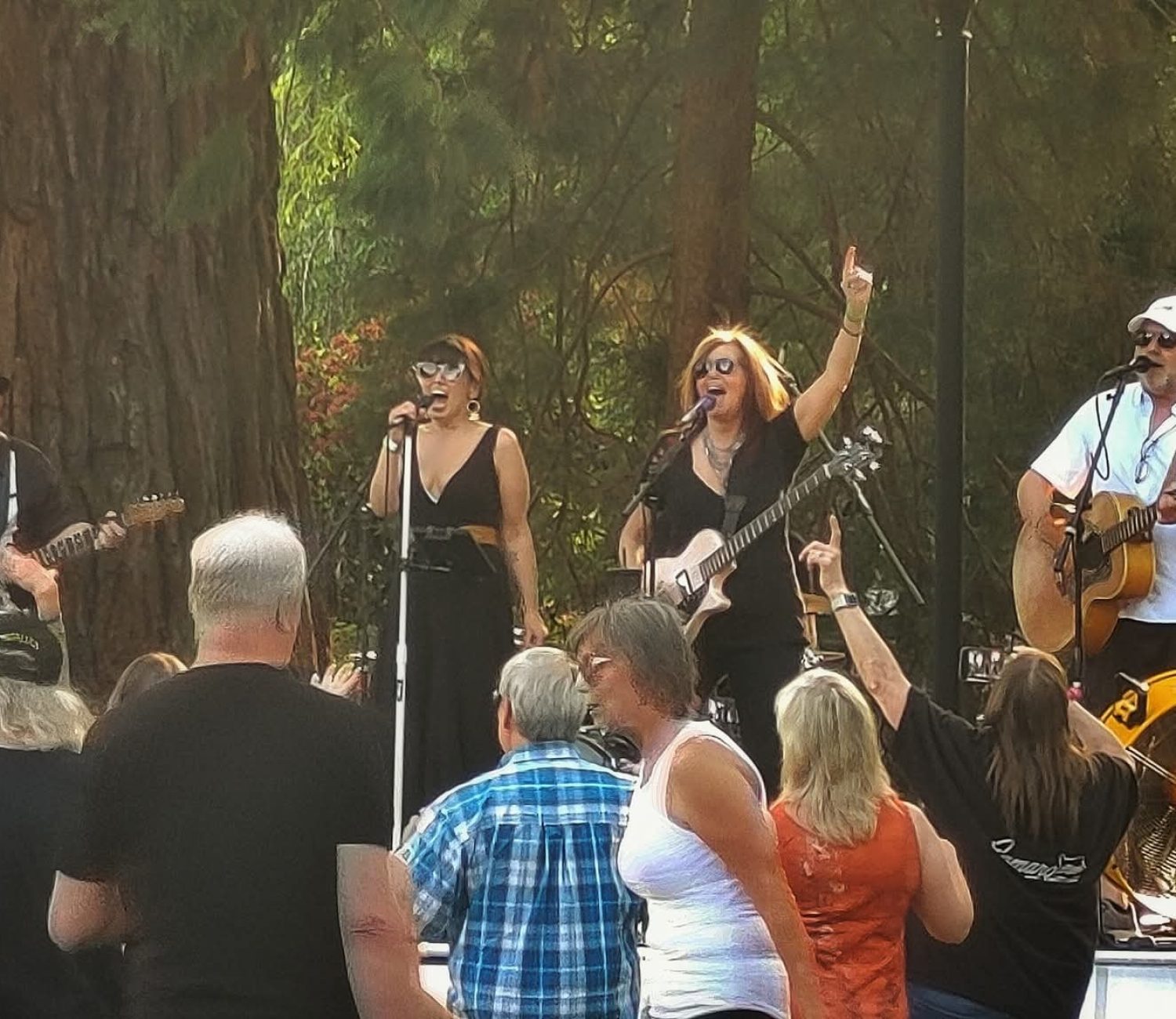 FRP Freight Train Jaine 06